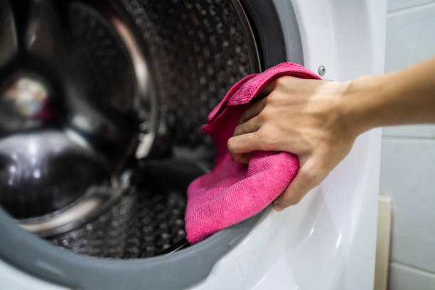 Best Mold Odor Removal Services  in Swartzville, PA