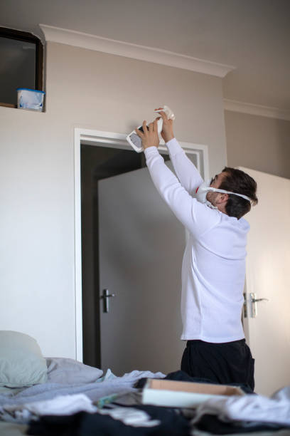 Best Attic Mold Removal  in Swartzville, PA
