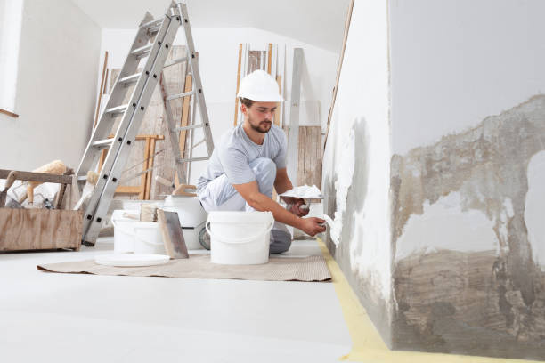 Best Water Damage & Mold Remediation  in Swartzville, PA