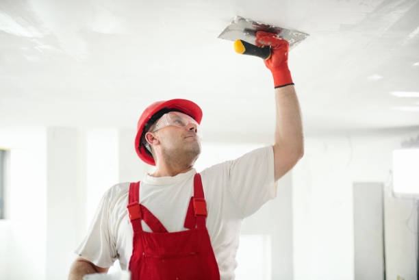 Best Basement Mold Removal  in Swartzville, PA