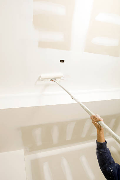 Reliable Swartzville, PA Mold Removal Solutions
